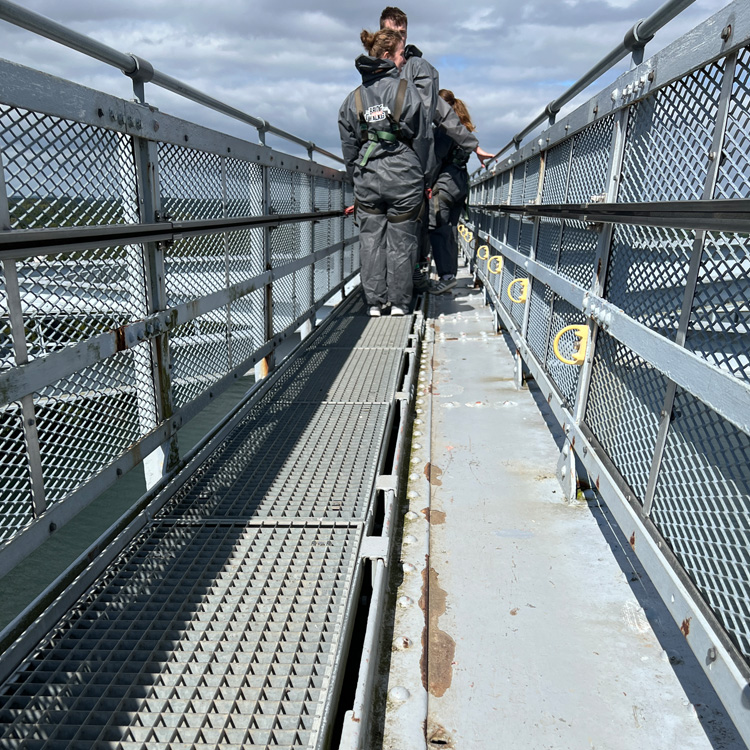Ny Gangbro Bridgewalking